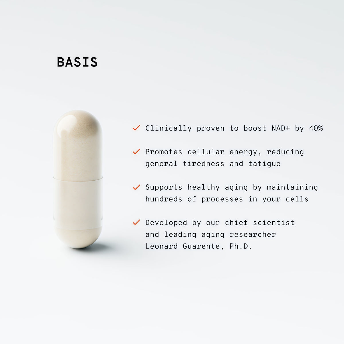 Basis