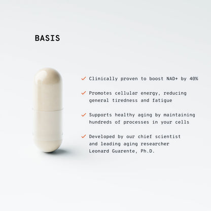 Basis